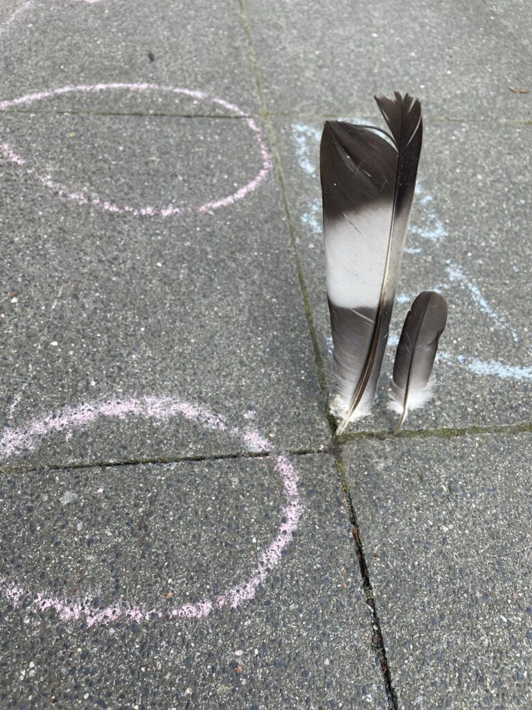 Auswahl Hintergrund Abb.4 B