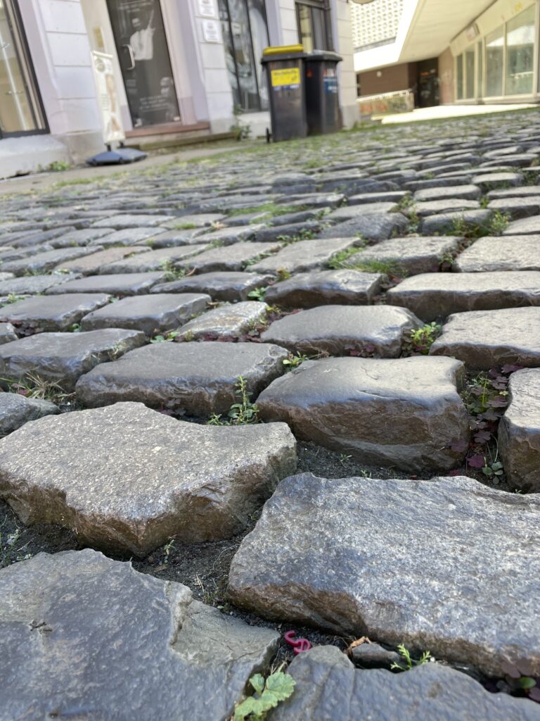 Auswahl Hintergrund Abb.4 C