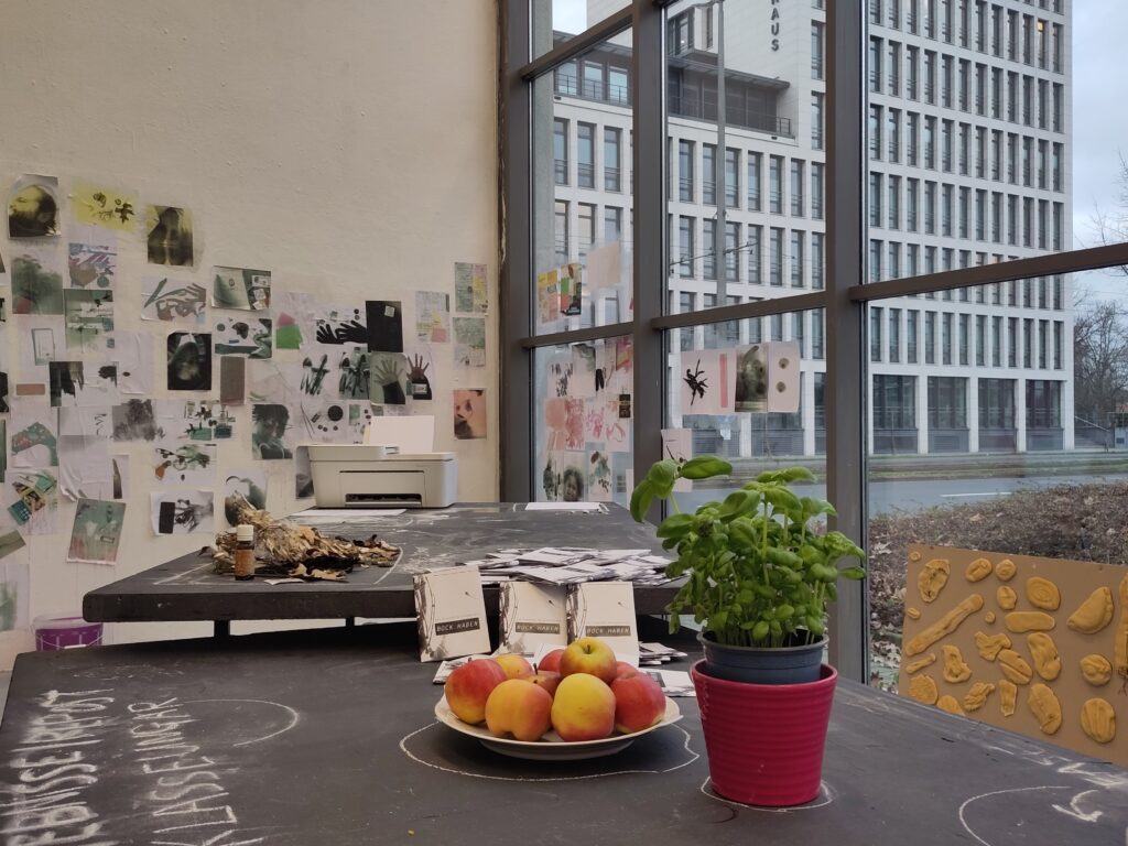 Abb. 8: Gesamtansicht Open Studios 2024. © Pleasure AG, 2024.