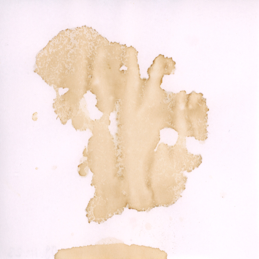 FOKUS Raab IN Long Duration Abb 10