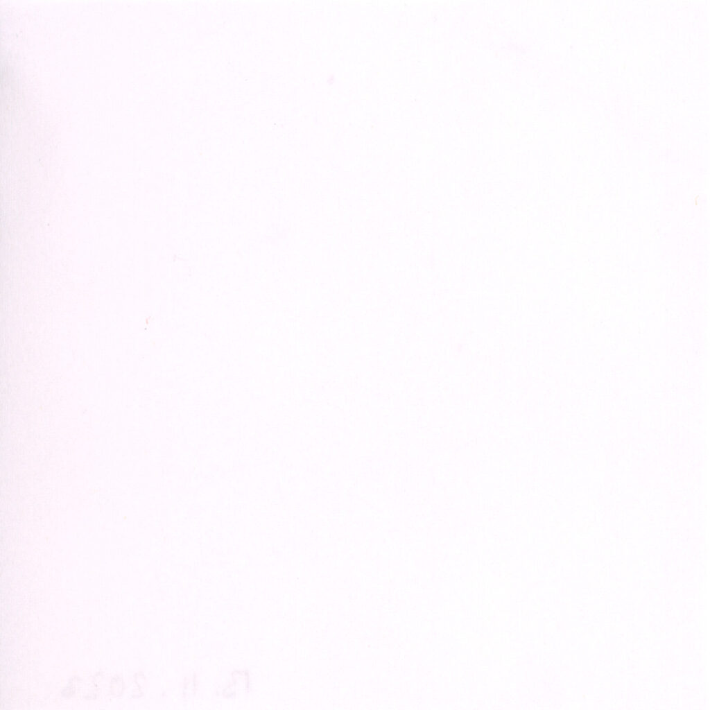 FOKUS Raab IN Long Duration Abb 14